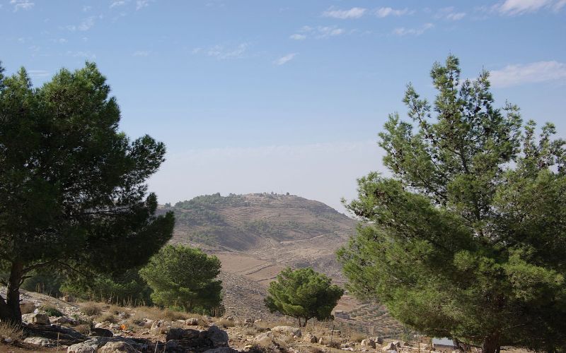 La Ruta Nabatea